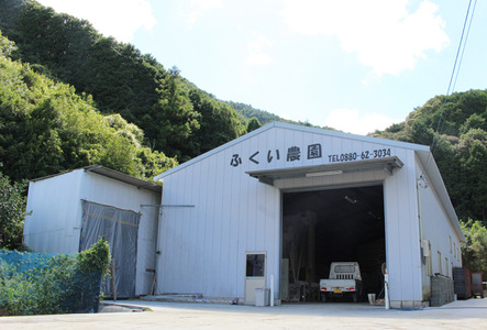 もち米 5キロ もち米