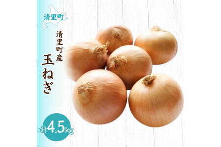 【先行予約】清里町産玉ねぎ約4.5kg（2025年10月中旬より順次発送） KYSB036
