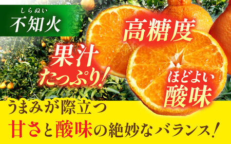 【先行予約】 【数量限定】 柑橘の王様 ハウス栽培 不知火 デコポン 約3kg（7～12玉） 【小春農園】[ZBN003]