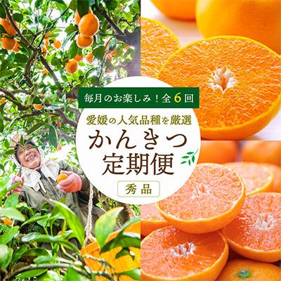 ふるさと納税 八幡浜市 【発送月固定定期便】愛媛の人気品種を厳選! 旬のかんきつ定期便(秀品)全6回【H25-120】