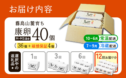 【ふるさと納税】卵【12回 定期便】霧島山麓育ち こだわり卵 康卵 計40個（36個 + 割れ保証4個）12回 計 480個(432個 + 割れ保証 48個)たまご 玉子 卵焼き 玉子焼き たまご焼き 生卵 鶏卵 たまごかけごはん 国産 九州産 宮崎県産 送料無料