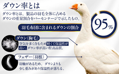 【糸島羽毛ふとん】【セミダブル】 羽毛 布団 本掛け 2層式 ポーランド産 グースダウン95% 糸島市 / 株式会社三樹 / 布団 羽毛 / 布団 羽毛[AYM029]