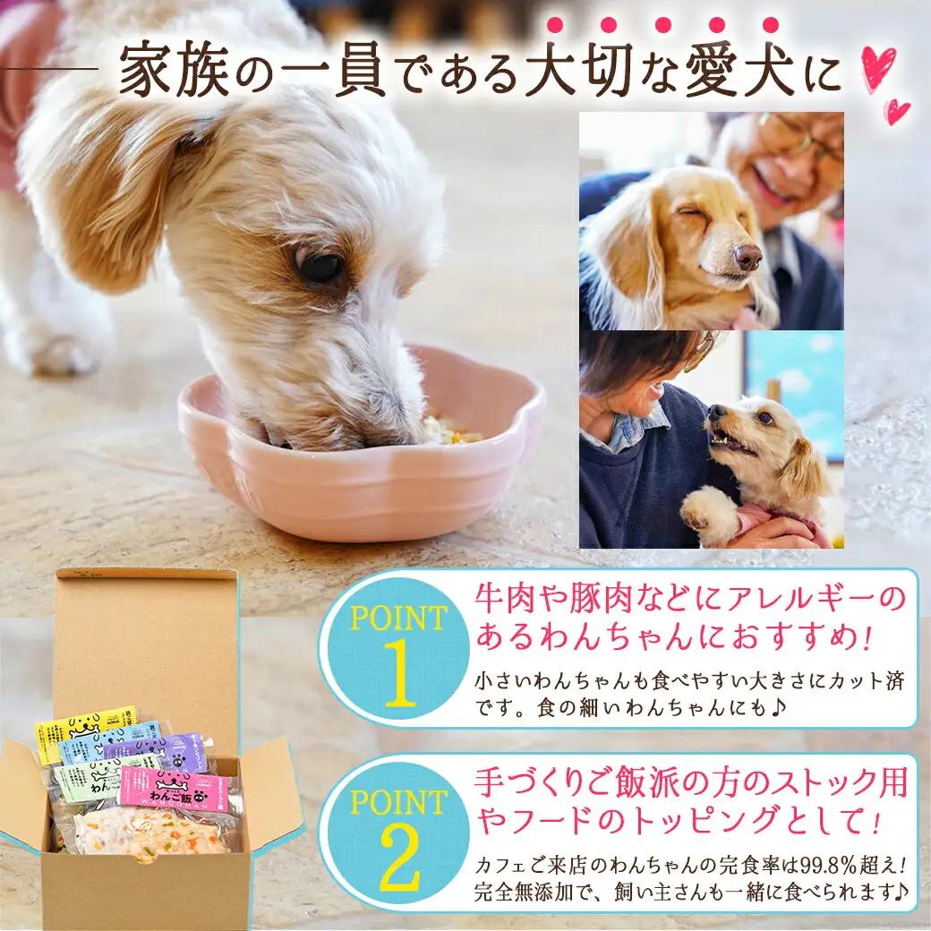 手づくり☆わんご飯『チキチキセット』〔12-J502〕_(都城市) 犬用 手づくりご飯 鶏ごぼうご飯/なんこつ/レバー サーモンリゾット すき焼き風ご飯 とまとスープご飯 ドッグフード ペットフード