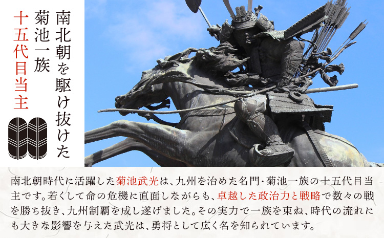 菊池武光公 Tシャツ・タオルセット 白 Lサイズ 株式会社アイエヌ《90日以内に出荷予定(土日祝除く)》熊本県 菊池市 Tシャツ シャツ 半袖 ファッション タオル 菊池一族