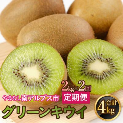ふるさと納税 南アルプス市 【発送月固定定期便】【2026年11月・12月】山梨県南アルプス市産　キウイ定期便　約2kg全2回