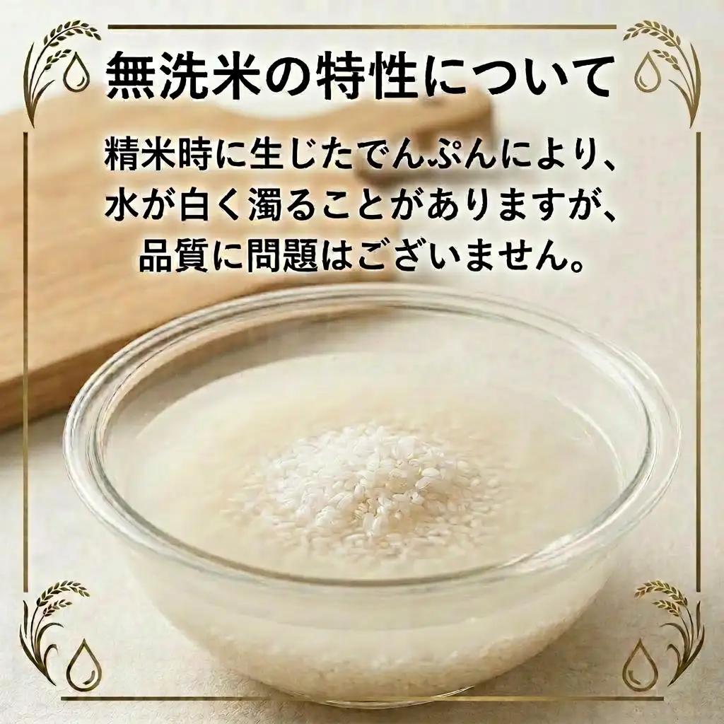 〈無洗米〉 米 令和7年産 富山県氷見産 コシヒカリ 10kg
