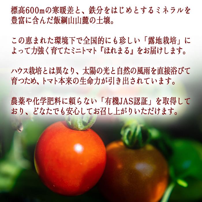 [ クール便 / 冷蔵便 ] 【 NAO's FARM 】 ミニトマト ほれまる 1kg