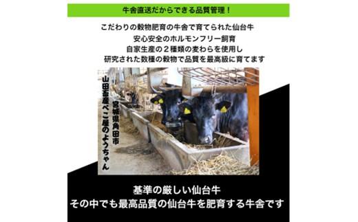 仙台牛 牛スジ煮込み 300グラム2個セット