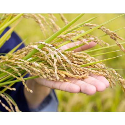 ふるさと納税 塩谷町 【令和7年産 】有機JAS認定「奇跡のお米 神宝米」玄米3kg |  | 03