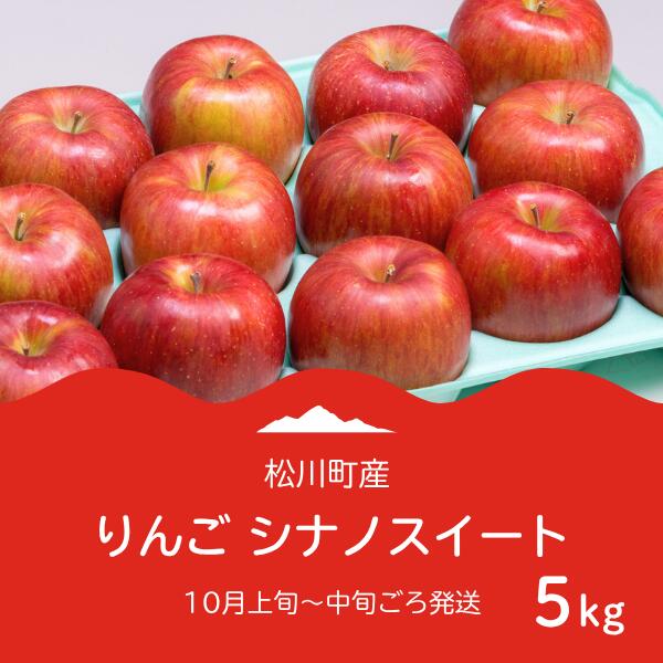 【ふるさと納税】りんご シナノスイート （松川町産）秀品 約5キロ／2025年10月上旬～中旬頃 配送予定 // 長野県 南信州 松川町 贈答 りんご リンゴ 林檎 シナノスイート AS03