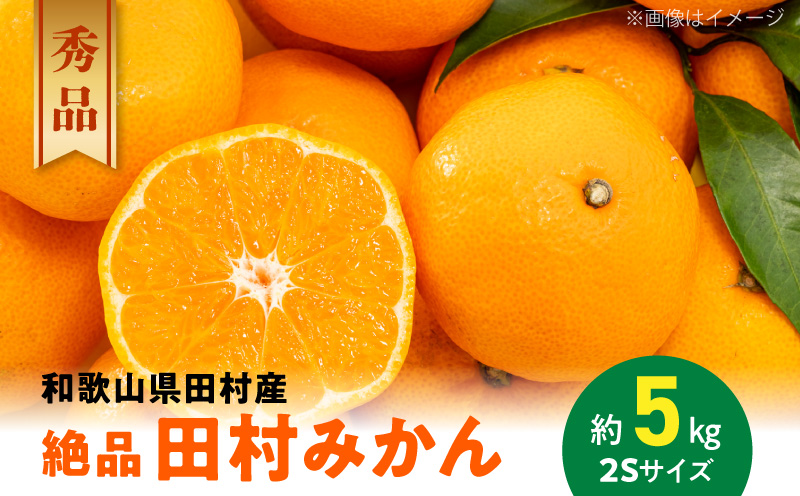 AB7113n_【和歌山特産品】【プレミアムブランド】絶品！ 田村みかん  秀品 2Sサイズ 約5kg