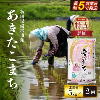 ふるさと納税 湯沢市 令和7年産　秋田県産あきたこまち　精米5kg　2ヶ月定期便[H17201]