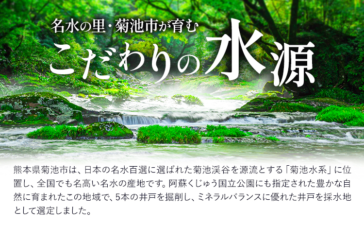 【3ヶ月定期便】浸みわたる水素水 12本 内容量 1本500ml 計18L《お申込み翌月から出荷》水 水素水 天然水 飲料水 ミネラルウォーター アルミパウチ パウチ 国産 九州産 熊本県産 菊池市産