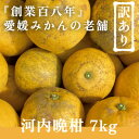 【ふるさと納税】創業百八年 愛媛みかんの老舗【河内晩柑 7kg】訳あり【C70-45】【1537315】