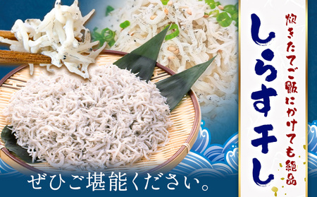 しらす干し 小分け 大津港水揚げ しらす 500g (茨城県共通返礼品：北茨城市) 川崎水産有限会社 《30日以内に出荷予定(土日祝除く)》しらす干 小分けパック 減塩 茨城県 河内町【配送不可地域あ