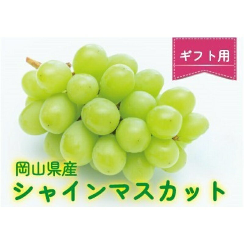 【ふるさと納税】ここちとふぁーむ　【ギフト】　岡山県産　シャインマスカット　3～4房　2.3kg以上【9月中旬～10月中旬頃順次発送予定】/　果物 くだもの フルーツ 葡萄 ぶどう シャインマスカット 岡山県産