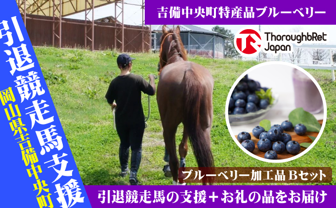 【引退競走馬支援!】吉備中央町産ブルーベリー加工品セットB