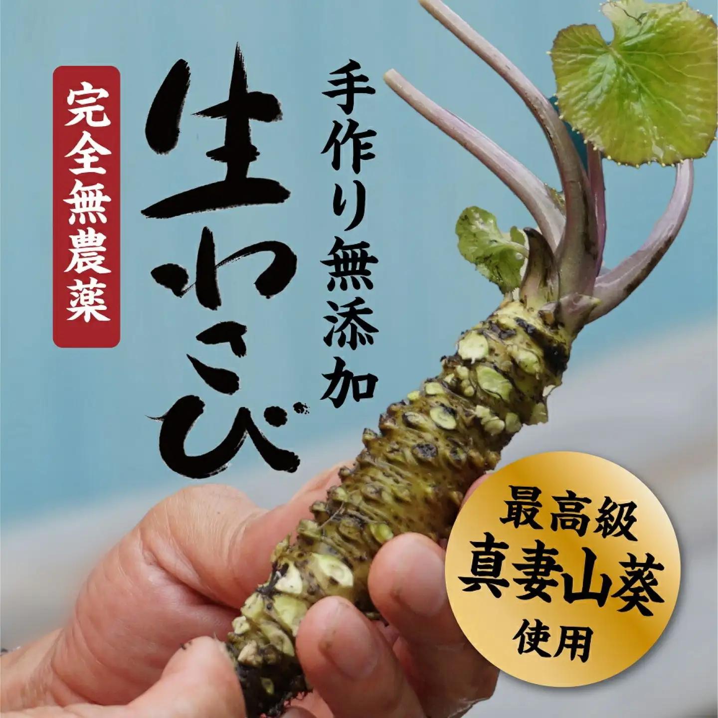 こだわり無農薬わさびセット わさび　ワサビ　山葵