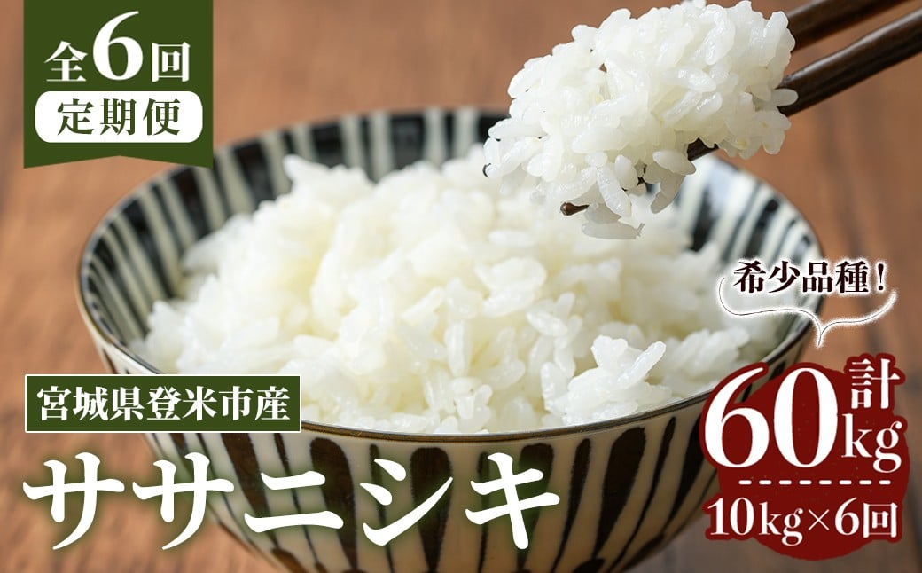 
            ＜先行予約！2025年10月から発送開始予定＞≪令和7年産≫【6回定期便】ササニシキ 計60kg (10kg×6回配送) 登米市産 お米 おこめ 米 コメ 白米 ご飯 ごはん おにぎり お弁当 6か月 頒布会【登米ライスサービス株式会社】tm461
          