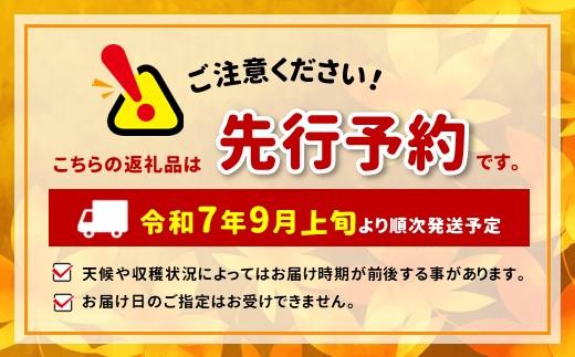 【長野県産】早生りんご(つがる)約3kg 秀品〈2025年9月上旬～9月中旬発送〉| 果物 くだもの フルーツ りんご リンゴ 林檎 つがる 長野県 信州 南信州 飯田市
