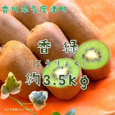 ふるさと納税 多度津町 香川県オリジナルキウイフルーツ「香緑」約3.5kg【B-31】