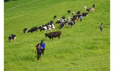 【ペア】 北海道十勝 牧場暮らし・チーズ造り 体験ツアー《足寄町》 【Slow Travel HOKKAIDO】 北海道旅行 体験 チーズ 牧場 見学 ツアー 体験型 旅 旅行 牧場見学 [BEAY002]
