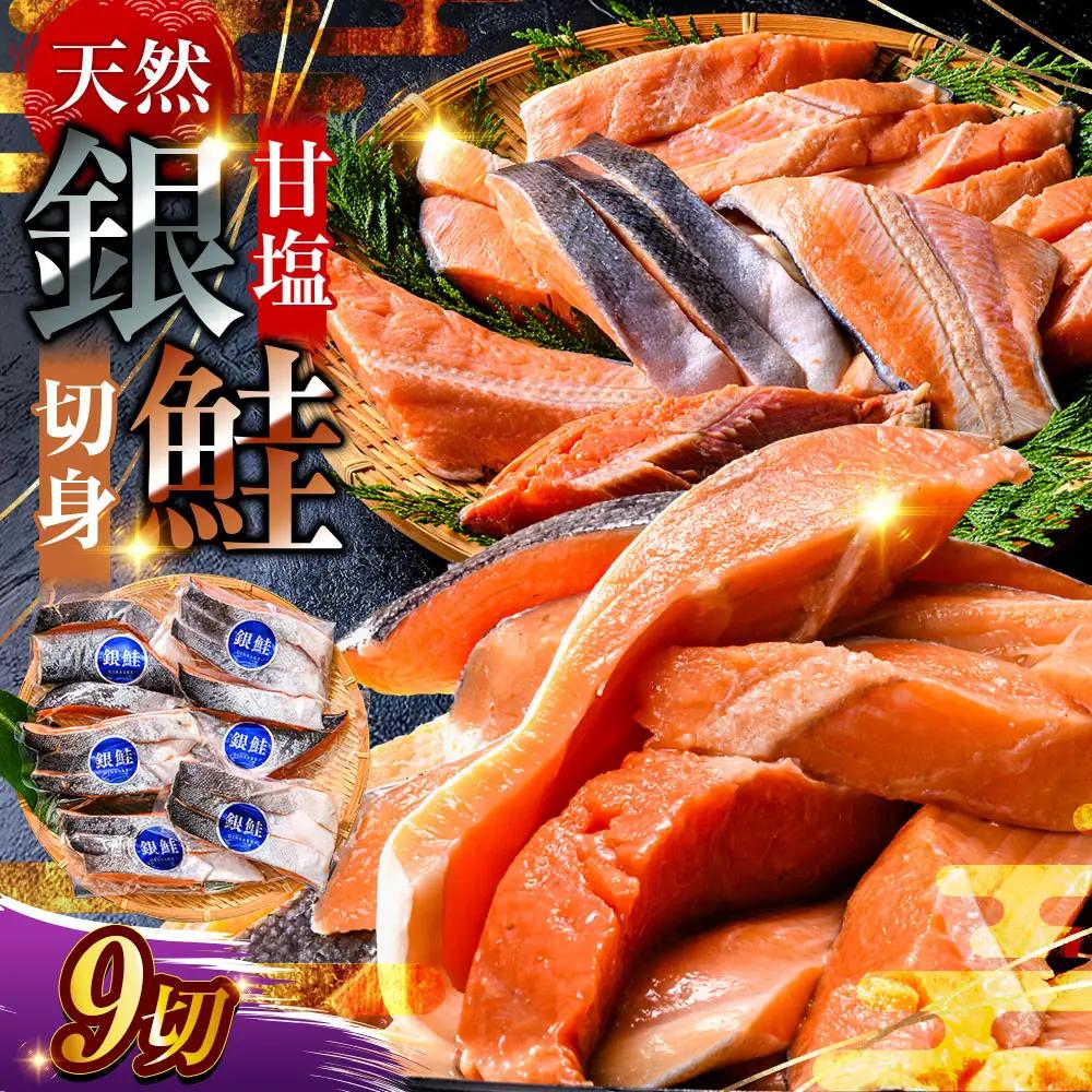 【 7日程度で発送 】 厚切り 天然甘塩銀鮭 切身 3切れ × 3パック 計9切れ 鮭 魚 魚類 魚介 魚介類 海鮮 BIGサイズ 真空パック おかず お惣菜 おつまみ 酒の肴 朝食 お弁当 冷凍