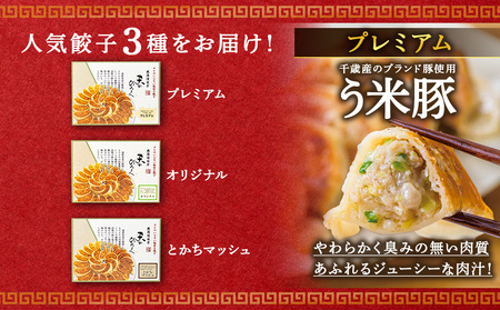 北海道餃子★天のびろく 3種セット＜北海道餃子天のびろく＞