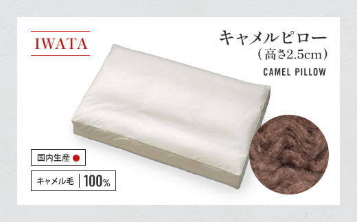 枕 キャメル IWATA 高さ2.5cm ラクダ まくら 職人 滋賀県 愛荘町