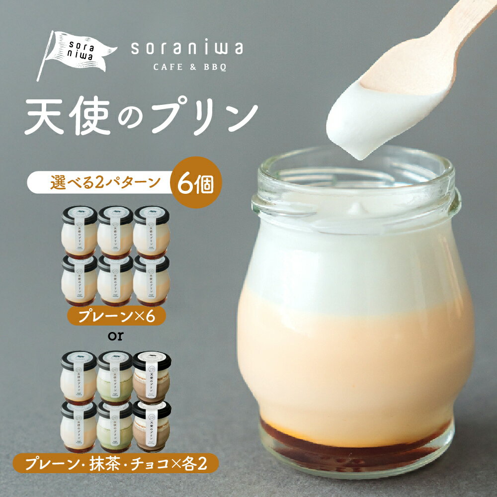 【ふるさと納税】 天使のプリン 6個 選べる 2パターン プリン スイーツ 洋菓子 プレーン 抹茶 チョコ 冷凍 送料無料 【 山形県 天童市 】