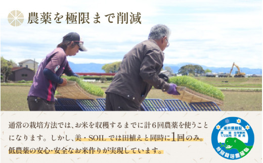 【令和8年産】《定期便6回》5kg×6回 30kg 特別栽培米 ミルキークイーン 玄米 低農薬《食味値85点以上》 / 福井県 あわら市 北陸 米 お米 人気 [aw032-h004]