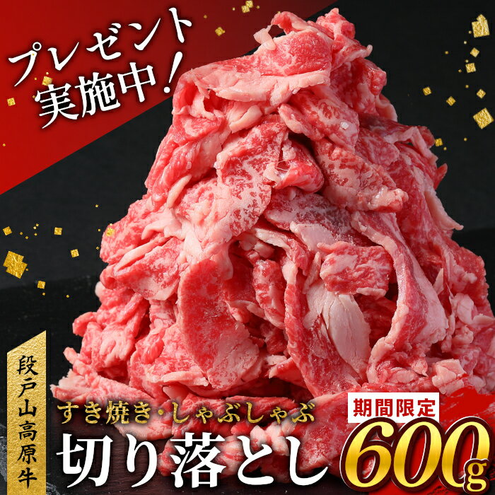 【ふるさと納税】12月・1月限定の特別規格★国産ブランド牛 切り落とし 600g (200g×3） 小分け 段戸山高原牛 幻 牛 国産 牛肉 牛 スライス 地域 限定 小分け 大満足 赤身 肉 数量限定 肉 牛肉切り落とし 牛切り落とし 国産牛 ブランド牛 5000円 -070