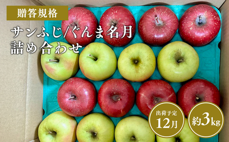 ≪令和8年産先行受付≫贈答用 サンふじ/ぐんま名月 詰め合わせ約3㎏【青森県 平川市 山内ファーム】贈答 青森りんご りんご リンゴ 林檎 サンフジ ふじ 群馬名月 お取り寄せ 先行予約 果物 くだもの フルーツ ［hi-0038-037］  