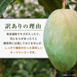 【2024年発送】＜ご家庭用・訳あり＞幻のキーツマンゴー約2kg(白箱)2玉～3玉