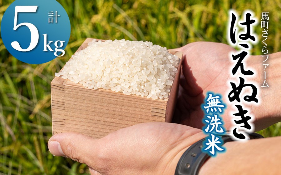 
                  【令和7年産】 馬町さくらファームのはえぬき 無洗米 5kg（5kg×1袋）　山形県鶴岡市　K-730　| 米 はえぬき お米 5キロ コメ こめ ご飯 ごはん ブランド米 米どころ 庄内米 国産 美味しい おいしい お取り寄せ 農家直送 お弁当 おにぎり おすすめ 人気 返礼品
                