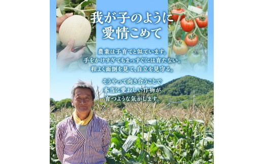 野口農園ななつぼし5kg【3ヶ月定期便】 | お米 北海道産 産地直送 ブランド米 野口農園 国産 精米 白米 米 北海道 当別町