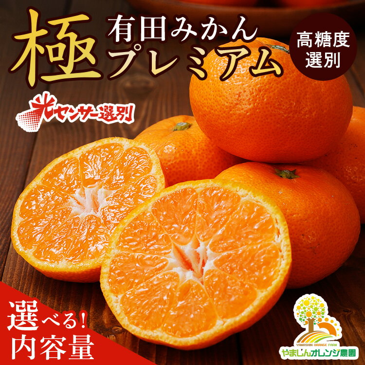 【ふるさと納税】＼光センサー選別／極 有田みかんプレミアム 選べる内容量【光センサー 高糖度選別品】2S～Mの小玉サイズ 有機質肥料100%◇ | 光センサー選別 温州みかん みかん 高糖度 ※2025年11月下旬～2026年1月上旬頃に順次発送予定 ※北海道・沖縄・離島への配送不可