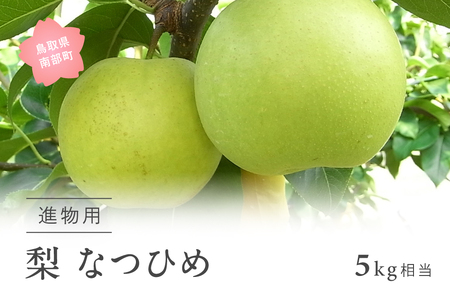 なつひめ [梨]（進物用5kg箱）2025年8月中旬出荷予定＜早期予約・数量限定＞