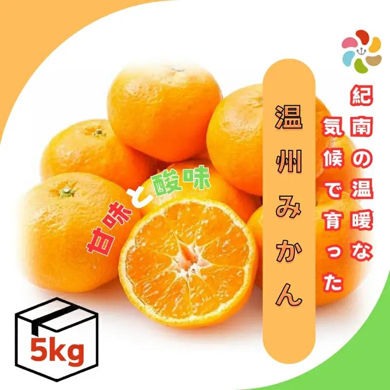 温州みかん 5kg【期間限定・先行予約・12/10まで】 / 和歌山県  田辺市 温州ミカン【mry016-2】