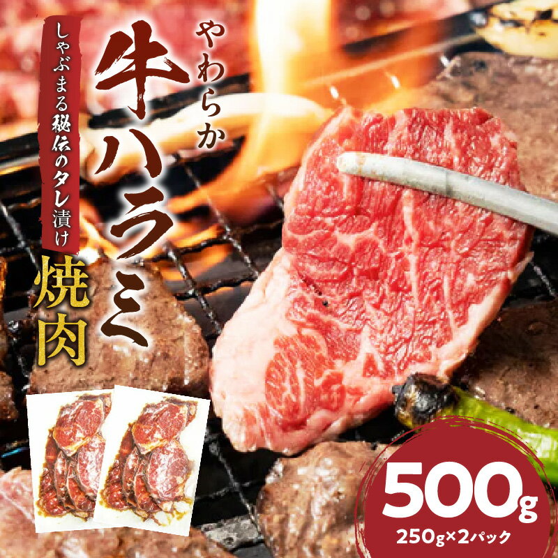 【ふるさと納税】1132-1　やわらか牛ハラミ焼肉 秘伝のタレ漬け500g(250g×2P)