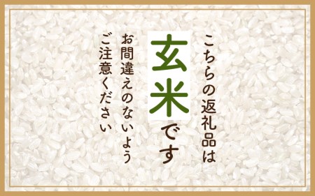【新米】 令和7年産 ハナエチゼン 10kg 福井県産【玄米】【お米 はなえちぜん 華越前 10キロ】 [e30-b010]