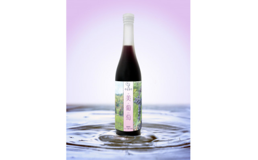 美葡萄 山ぶどうジュース 500ml×2本【1590326】
