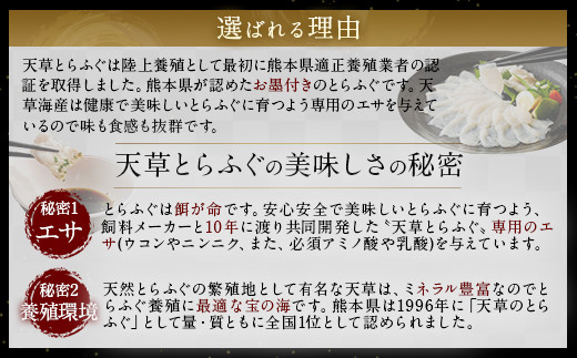 国産 最高級!! 天草とらふぐセット
