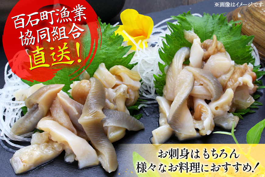 【期間限定発送】【2月発送】 ホッキ貝 5kg [百石町漁業協同組合 青森県 おいらせ町 oi02ayo550003] ほっき貝 ブランド 奥入瀬 北寄貝 ホッキ ほっき