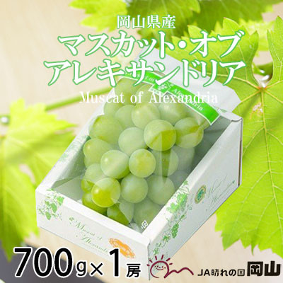 
            ＜2025年6月発送＞岡山県産　マスカット・オブ・アレキサンドリア　700g×1房_マスカット ぶどう 葡萄 ブドウ 果物 くだもの フルーツ 岡山県 津山市 産直 産地直送 ギフト プレゼント 送料無料【1364674】
          