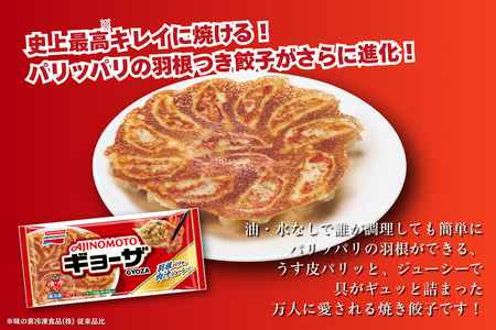 AJINOMOTOギョーザ JAさがオリジナル鶏ごぼうピラフ 各10袋 佐賀市 人気返礼品 コラボセット 冷凍食品冷凍食品冷凍食品冷凍食品冷凍食品：B230-019
