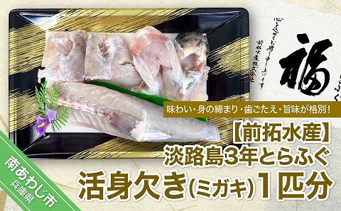 【冷蔵配送】淡路島3年とらふぐ（活身欠き【ミガキ】１匹分）◆配送10月25日～3月31日