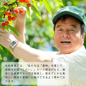 【令和6年産】サンふじりんご ラ・フランス詰合せ 2.5kg ＜2024年11月頃より順次配送＞ 012-B-MM072