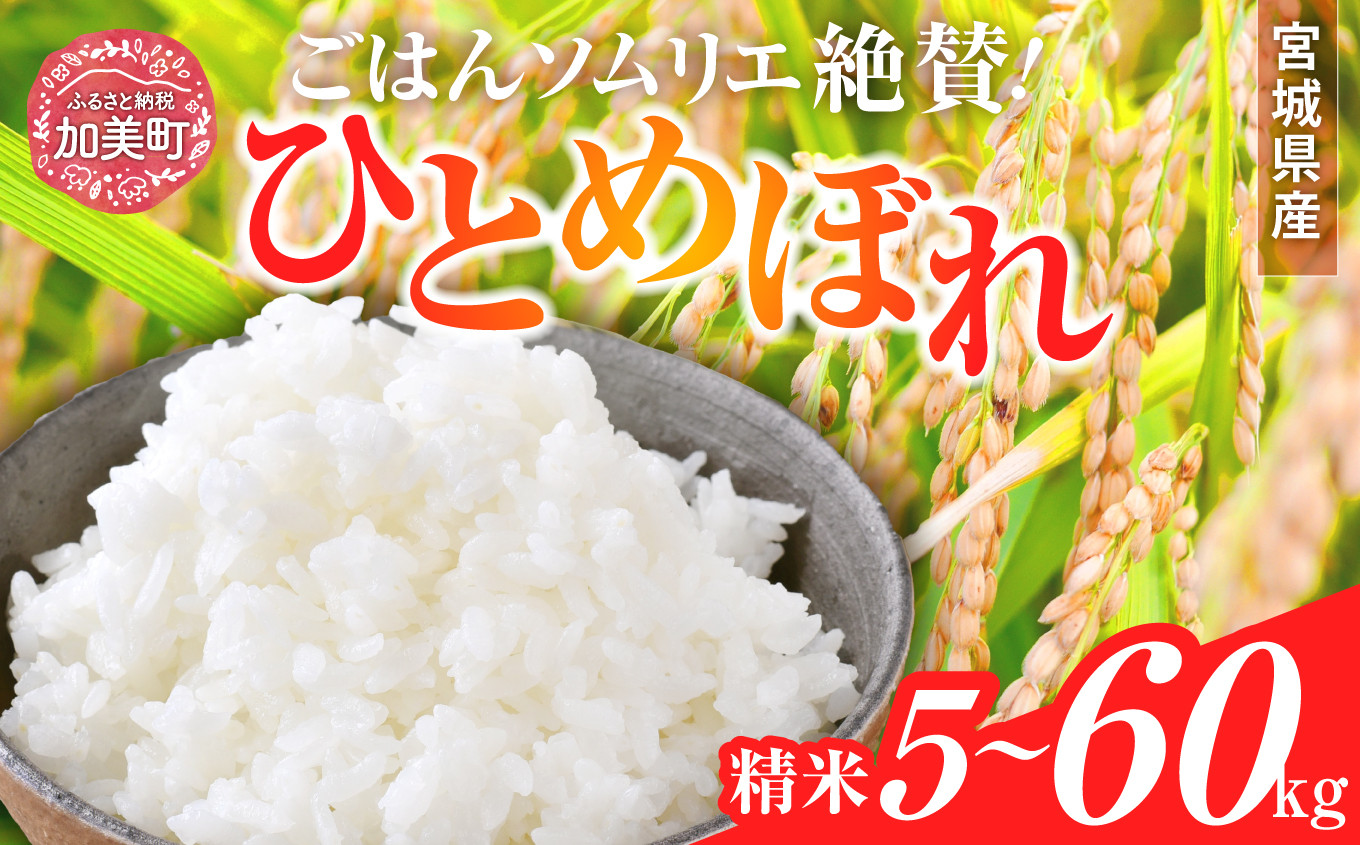 
新米 精米 令和6年産 宮城県産 ひとめぼれ 5kg ～ 20kg | 2回 ～ 3回 定期便 (10kg ～ 60kg) [菅原商店 宮城県 加美町 ] | sg00001-r6
