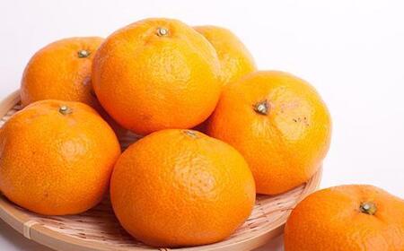 家庭用 大きな有田みかん2.5kg+250g（傷み補償分）［2025年11月中旬から2026年1月下旬頃順次発送予定］